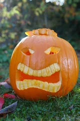 Foto op Plexiglas halloween kürbisch im hellen © fotoverbeet