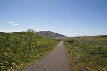 grüne Landschaft