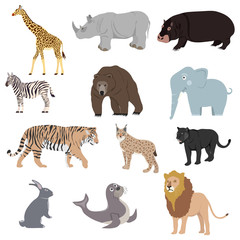 Animals, set of animals. Rhinoceros, lion, panther, lynx, giraffe, bear, zebra