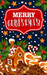 Merry Christmas winter cookie vector greeting card