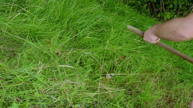 Man mowing grass with a scythe by hands. Mowing on hill slope where motor machine mower cant do the job. Blade cuting through green grass. Filmed in slow-motion hd. 