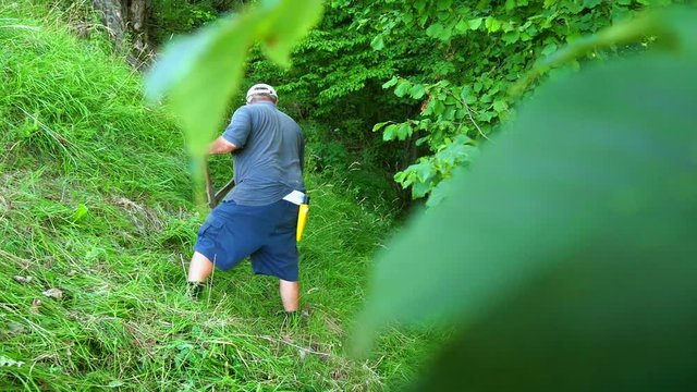 Older male mowing grass with a scythe by hands. Mowing on hill slope where motor machine mower cant do the job. He is carying stone grind on his belt. Filmed through leaves in slow-motion hd.
