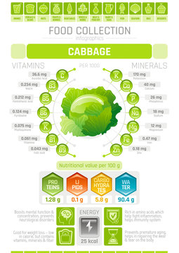 Food infographics poster, cabbage vegetable vector illustration. Healthy eating icon set, diet design elements, vitamin mineral supplement chart, protein, lipid, carbohydrates, diagram flat flyer.