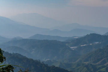 Cameron Highlands - 177121056