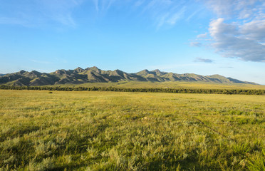 Sunny summer landscape, hills, forest, blue sky