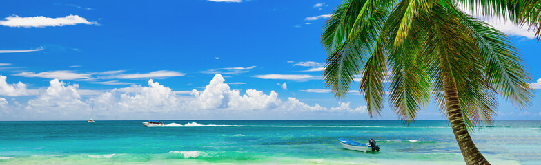 Fototapeta na wymiar Boat beach caribbean sea Dominican republic island Saona