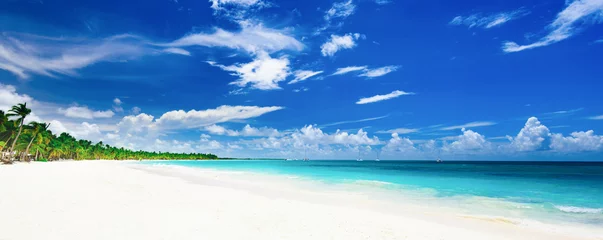 Cercles muraux Plage et mer paradis tropical plage palmier la mer des caraïbes