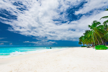 Naklejka na ściany i meble paradise tropical beach palm the Caribbean Sea