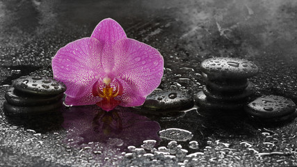 Spa stones and orchid on a dark background with water drops and reflection