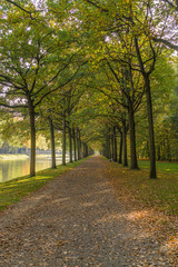 Fototapeta na wymiar Autumnal impressions in a park, the Karlsaue in Kassel, Germany