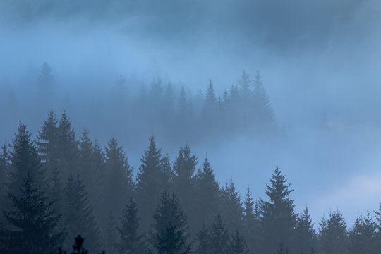Fototapeta Mountain landscape in fog