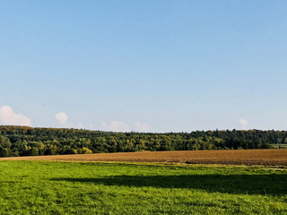 View over a field in autumn