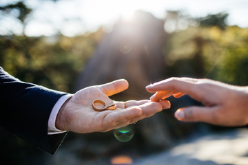 Bride and groom holding hands in a ring