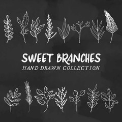 Vector branches hand drawn, sweet branches doodles, chalkboard