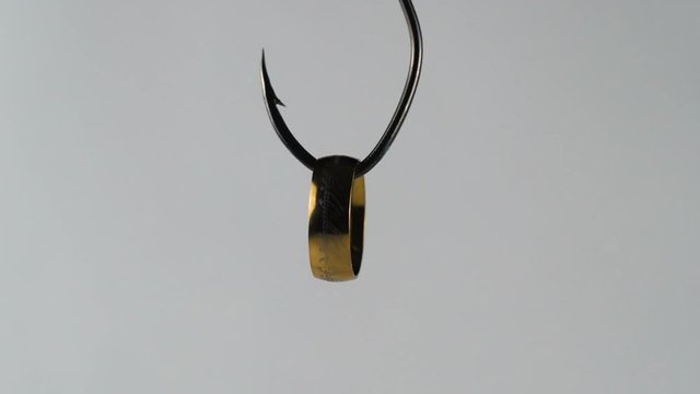 Illustration, on fishhook gold ring