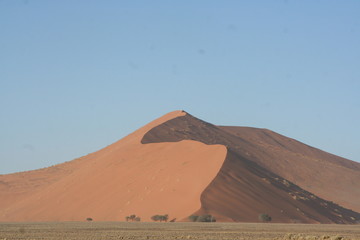 Arête de dune