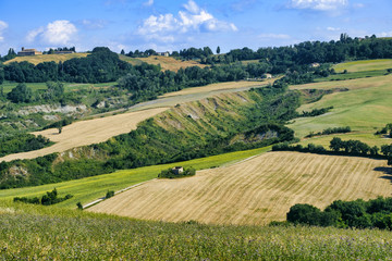 Fototapeta na wymiar Summer landscape in Marches near Fossombrone