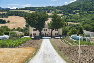 Summer landscape in Marches near Urbino