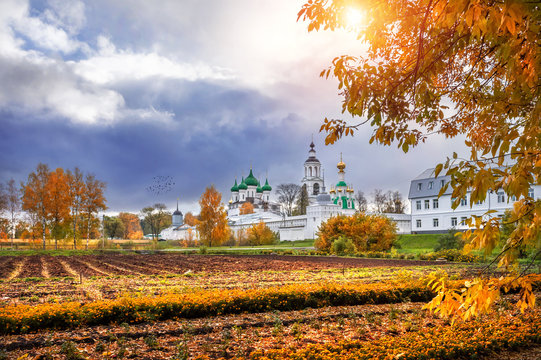 Поле цветов у Толгского монастыря Field of flowers at the Tolga Monastery
