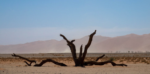 Naukluft Park, Namibia