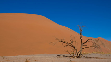 Fototapeta na wymiar Wüstenlandschaft in Namibia