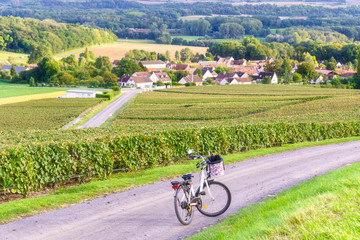 Bicycle on the road on row vine green grape in champagne vineyards at montagne de reims countryside village background, France