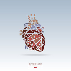 Human heart icon. Vector illustration.