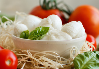 Italian cheese mozzarella nodini with tomatoes and herbs