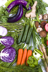 Collection of fresh vegetables on the white background.