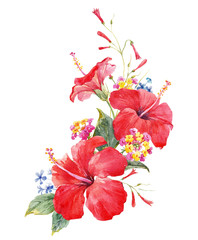 Watercolor hibiscus composition © zenina