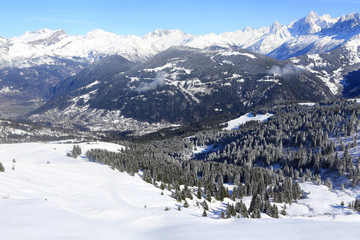 Fototapeta na wymiar Massif du Mont-Blanc.