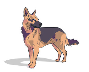 Isolated illustration of friendly german shepherd standing in color