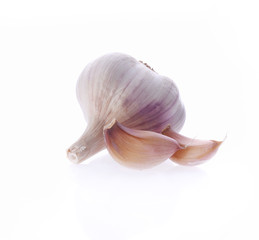 Garlic head on white background