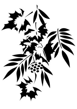 Stencil vector image of tree foliage. Maple, grapes, ash and mountain ash. Isolated on the background of a white color.