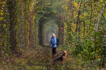 Naklejka na ściany i meble The real natural wonder - love tunnel created from trees along the railway in Ukraine, Klevan. Autumn in Ukraine