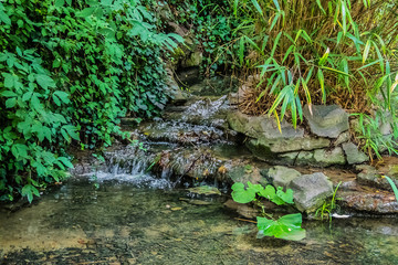 The Garden of New France (Jardin de la Nouvelle France, 1859) formerly known as the Garden of Swiss Valley, is a square in 8th arrondissement of Paris, located near Cours la Reine. Paris, France.