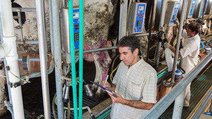 Man Writing On Clipboard in Milking Parlor
