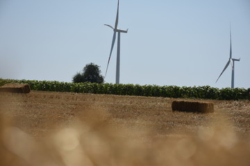 turbine