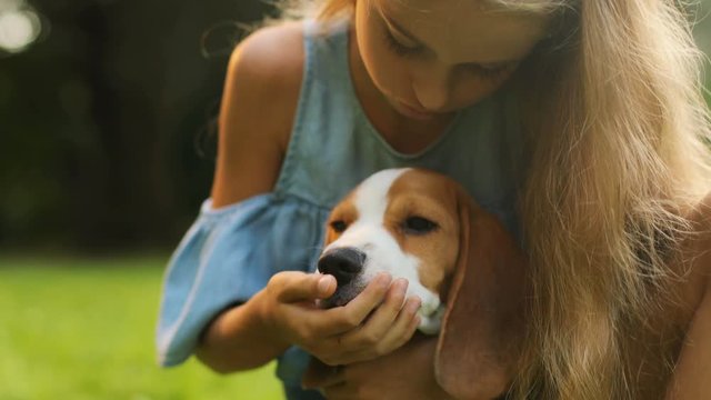 Close up. Long-haired blond girl hugging her beautiful beagle puppy dog while playing in the park in summer day. Caressing it. Blurred background.