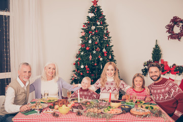 Six cheerful relatives bonding near setted festive desktop, full of yummy treats, married couples, siblings, grandad, granny, in knitted traditional x mas costumes, pine firtree