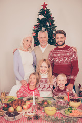 Six cheerful relatives, setted festive desktop, full of yummy treats, married couples, siblings, grandad, granny, in knitted traditional x mas costumes, pine firtree, decorated room, christmastime