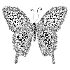 decorative butterfly illustration