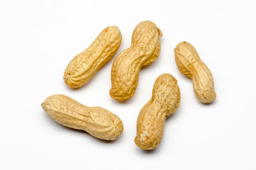 five peanuts on white background