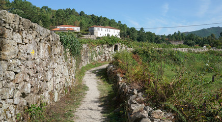 Fototapeta na wymiar Pilgrim trail, Camino de Santiago, Portugal