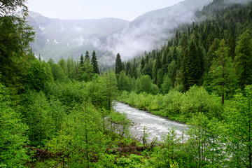 Fototapeta premium mountain rivers of Abkhazia