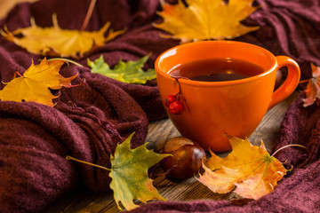 Herbstliche Tasse mit Tee