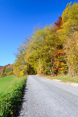 Fototapeta premium Herbst Strasse in den farbigen Wald 