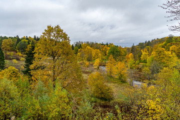Fototapeta premium Autumn view in the park