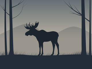Vector an elk silhouette standing in a forest
