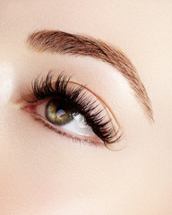Beautiful female eye with extreme long eyelashes, black liner makeup. Perfect make-up, long lashes. Closeup fashion eyes © marinafrost